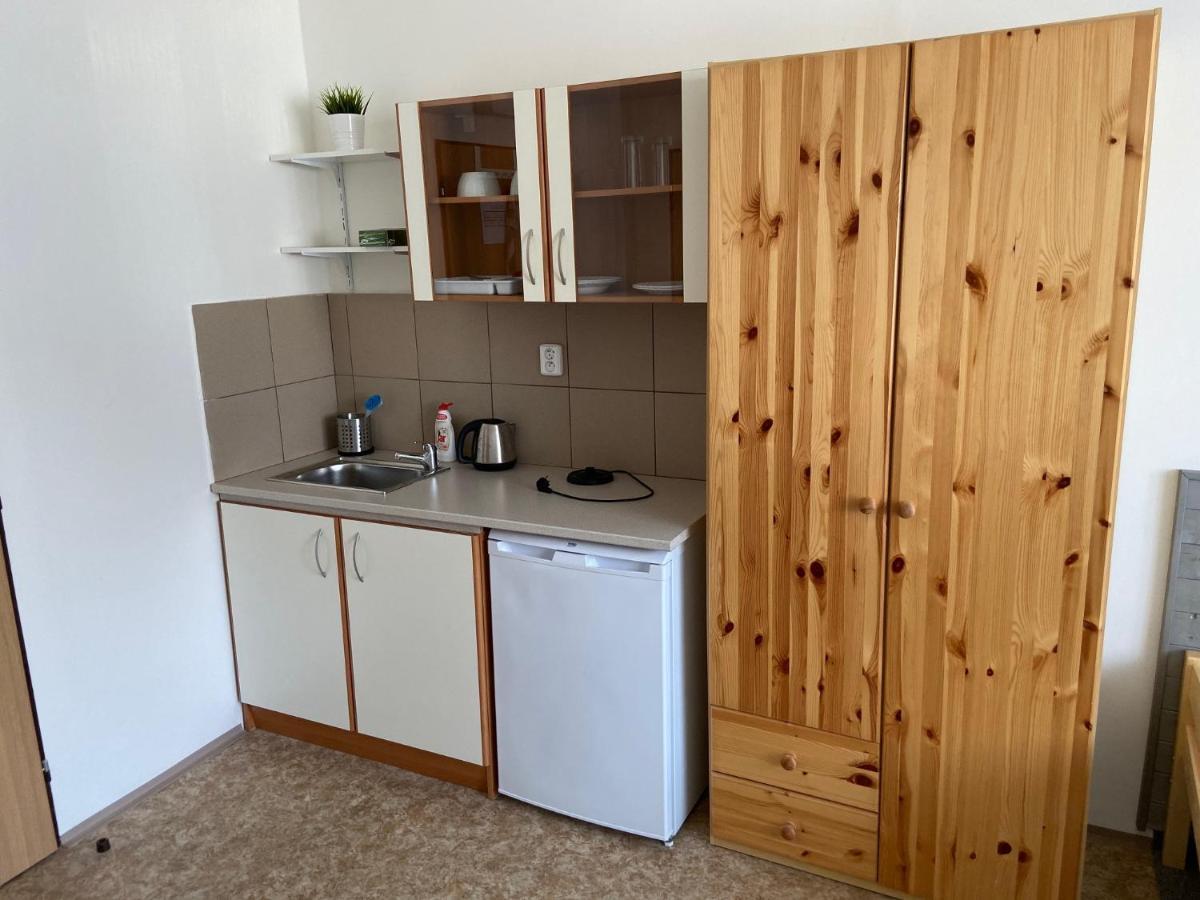Apartmany Premyslova Hradec Kralove Ngoại thất bức ảnh
